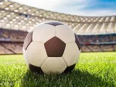 斤野猪助战,东北虎,激战半时致,平博体育,平博体育官网,平博体育官方,平博体育下载